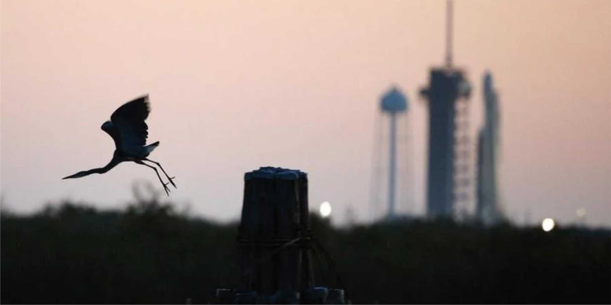 Nasa inicia investigação sobre possível existência de vida na lua de Júpiter